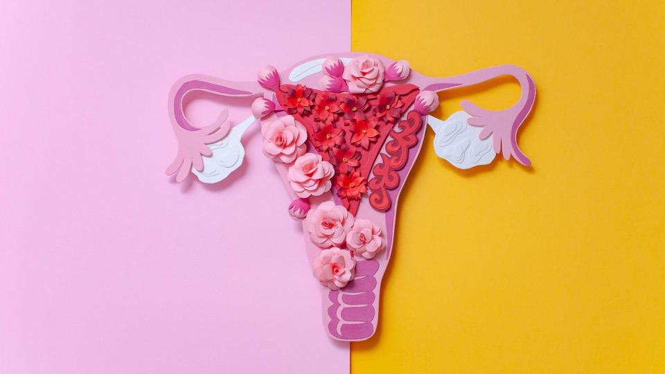 A female womb made of pink and red paper flowers